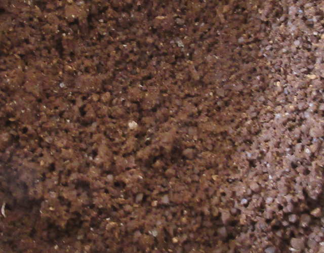 粉末状のコーヒー豆